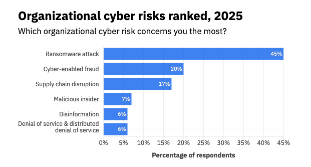Organizational Cybersecurity Risks 2025